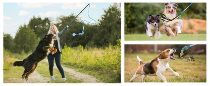 Dog Toy Telescopic Aluminum Flirt Pole with Reinforced Nylon Rope and Three Detachable Interactive Toys