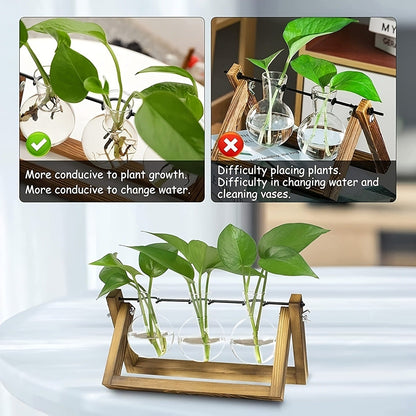Three-Bulb Plant Propagation Station with Removable Glass Vases and 11-Inch Folding Wood Stand