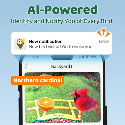 Smart Bird Feeder, Camera AI Bird Identification, 2K HD Live View, Auto Capture & Color Night Vision