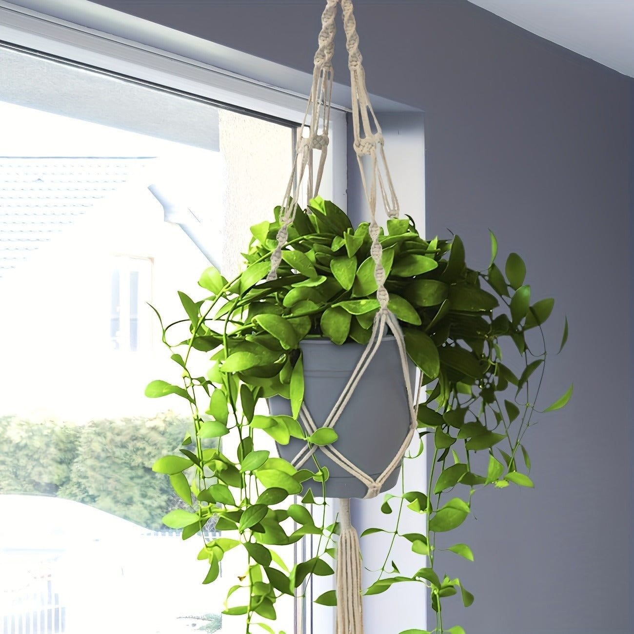 Four-Piece Macrame Plant Hanger Set in White, Black or Natural Rope with Woven Pot Holder Designs