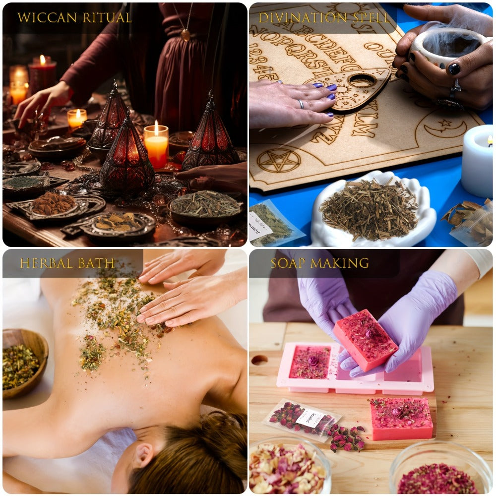 Dried Herbs & Flowers Magic Supplies Kit 40 Pack – Witch Starter Set for Rituals, Spells, Candle & Soap Making, Pagan Altar, Halloween & Christmas Gift, Party Favors, Home Decor