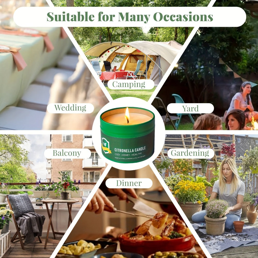 Citronella-Labeled Candle Six-Pack with 4.4 oz Green Round Tins, Gold-Tone Lids and Single-Wick Format