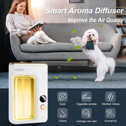 Desktop or Wall-Mount Essential Oil Diffuser with Transparent Chamber and One- or Three-Bottle Bundles