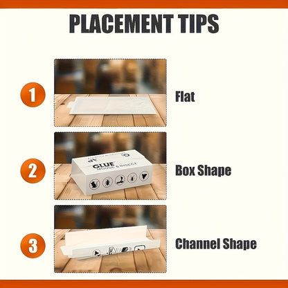20-Piece Foldable Adhesive Insect Trap Cards for Flat, Box or Channel Placement Around Indoor Areas