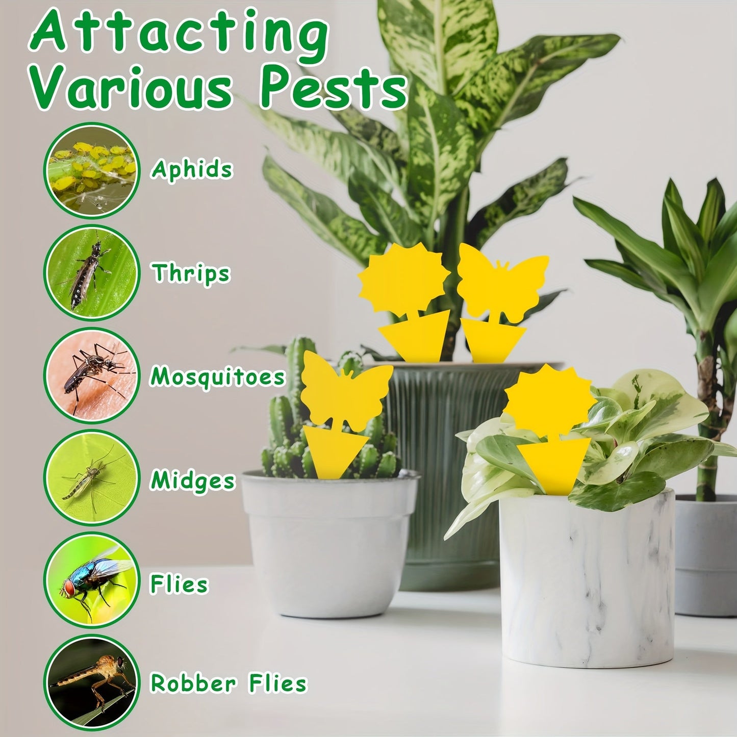 Yellow Butterfly or Gerbera Plant Sticky Traps in Seven Shape-and-Count Options from 40 to 120 Pieces