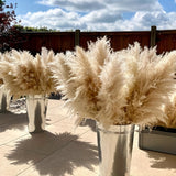 30pcs