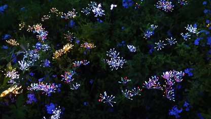Solar Garden Lights Outdoor 4 Pack Twinkling Swaying Firework LED Stake Lights 2 Modes – Decorative Solar Path Lights for Yard Patio Flowerbed Camping Christmas Party Decor