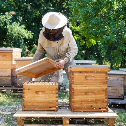 Langstroth Bee Hive Kit Wax Coated Wood 10-Frame 3-Layer Frames