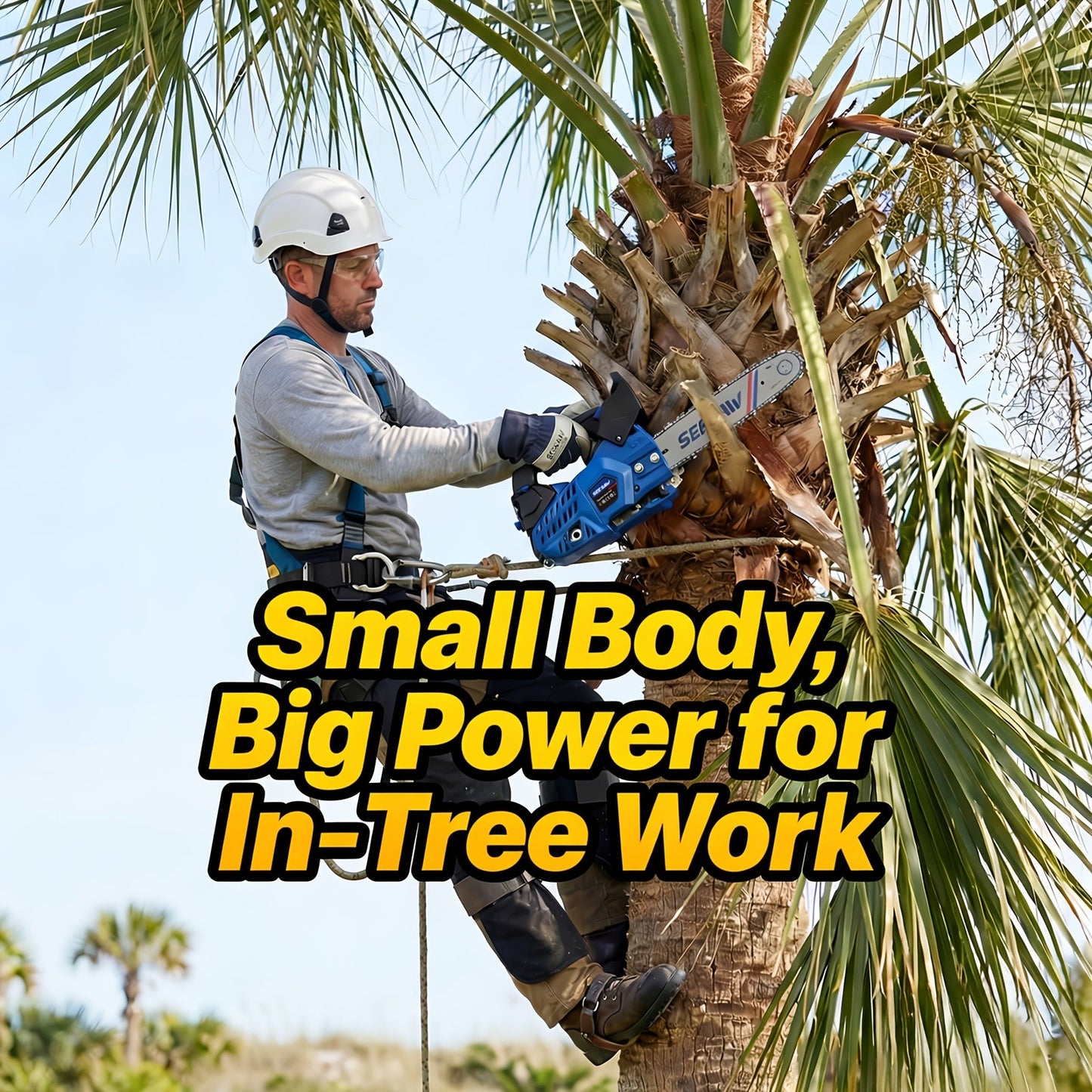 Mixed Gas Chainsaw Options with 12-Inch Compact Color Models and 20-Inch BlackRed Configuration