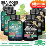 Pack of 6 Bottles