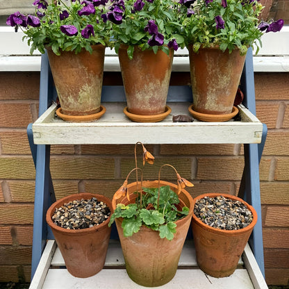 Rustic Metal Snowdrop Garden Stakes, Three-Piece Curved Flower Set with 25 cm Stems for Pots and Borders