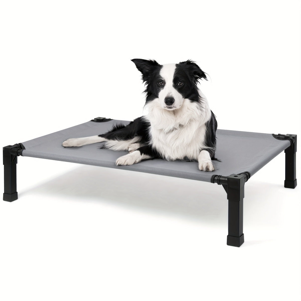 Elevated Pet Cot with Metal Frame, Textilene-Labeled Mesh Deck, Four Sizes and Seven Colors