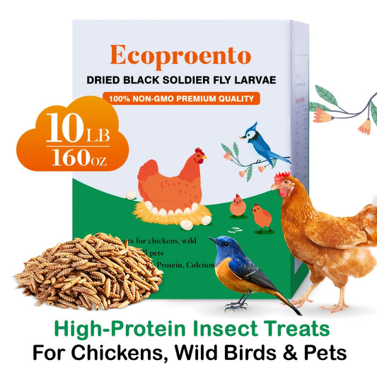Dried Black Soldier Fly Larvae 10 LBS High Calcium Chicken Feed