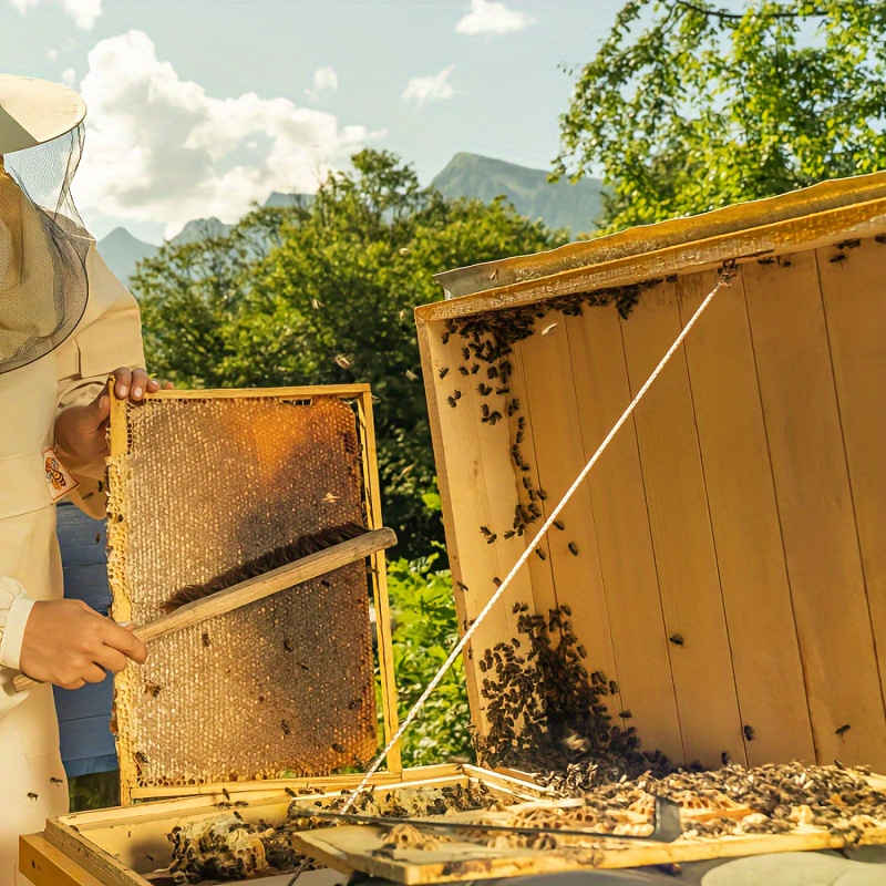 12-Piece Beekeeping Starter Kit with Veil, Gloves, Bee Smoker, Brush, Frame Grip and Hive Tools