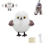 Titmouse