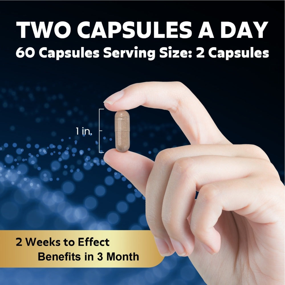 Megneta Formula Capsule Supplement, 60-Count Bottles in One-, Two- or Three-Bottle Package Options