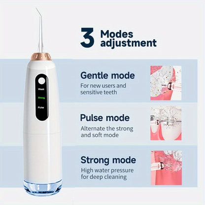 USB Rechargeable Electric Toothbrush and Water Flosser Set with Three Modes, Four Heads and Four Nozzles