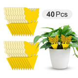 butterfly 40 pcs