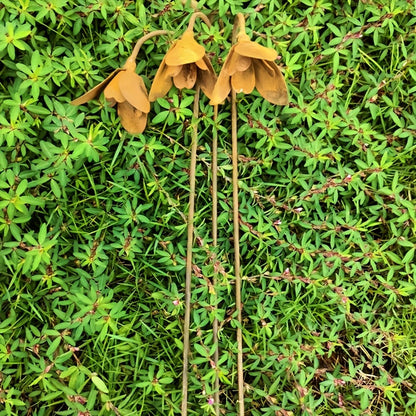 Rustic Metal Snowdrop Garden Stakes, Three-Piece Curved Flower Set with 25 cm Stems for Pots and Borders
