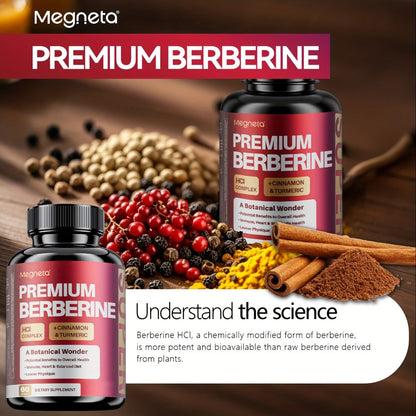 Berberine with Ceylon Cinnamon, Turmeric & Black Pepper – Premium Blood Sugar Support, Vascular Health & Digestive Wellness Capsules | 60 Capsules 1 Month Supply | 1, 2 or 3 Bottle Pack