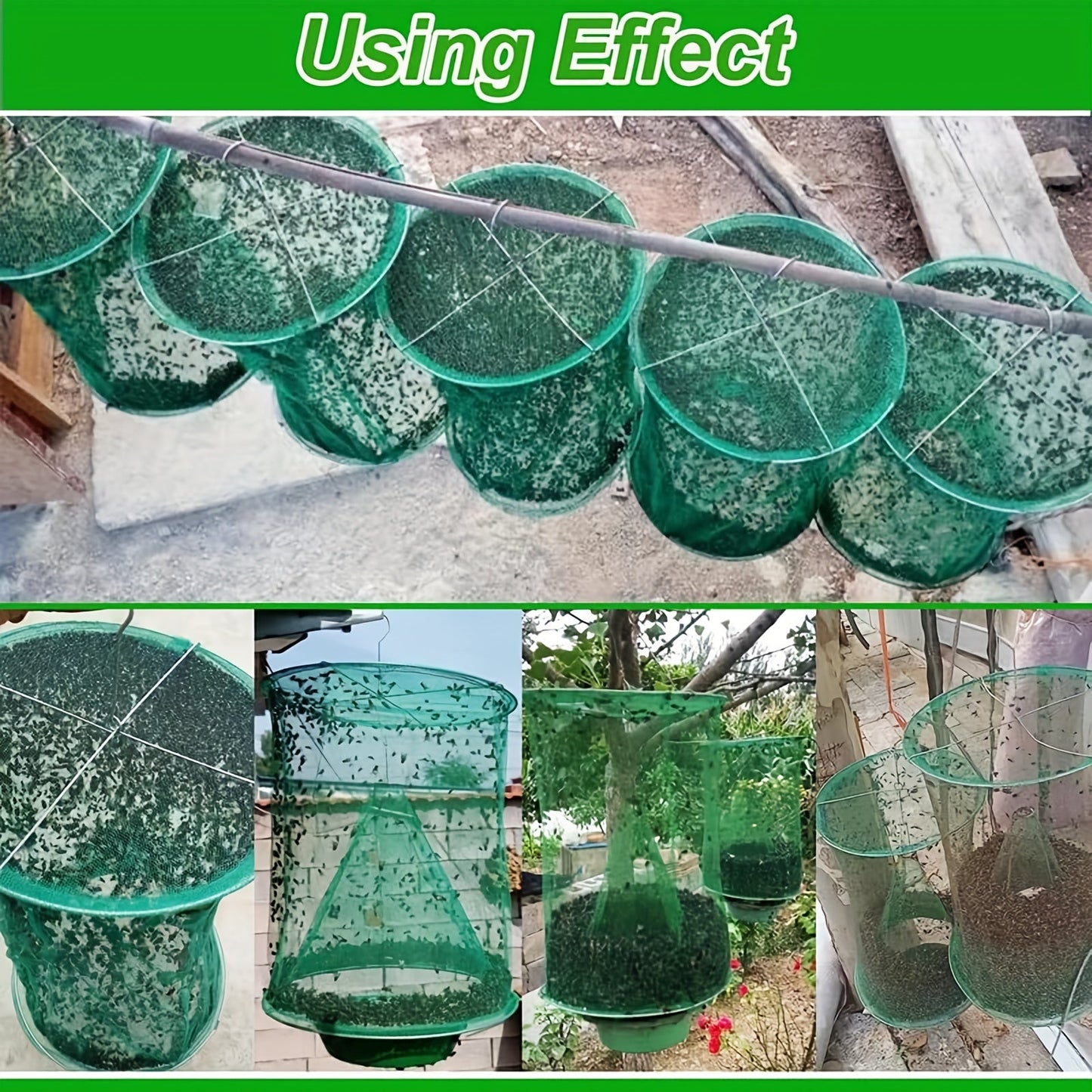 Green Hanging Mesh Fly Trap Cages with Removable Bait Bowls in Two-Pack or Four-Pack Options