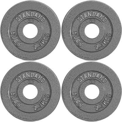 Gray STANDARD Cast-Style Weight Plates in Single, Pair, Four-Piece and Mixed Sets for Barbell Training