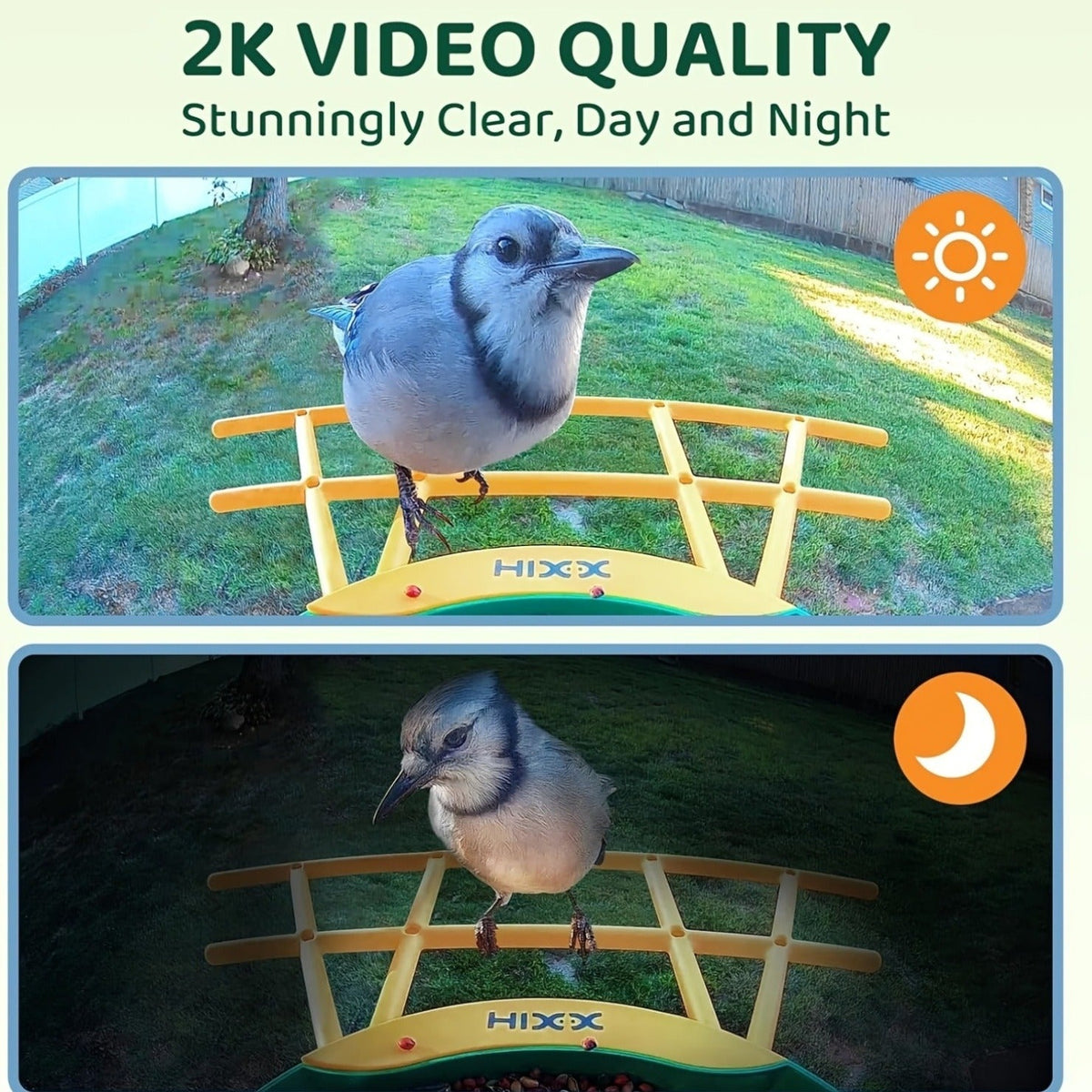 Smart Bird Feeder, Camera AI Bird Identification, 2K HD Live View, Auto Capture & Color Night Vision