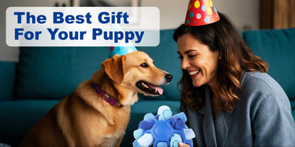 Dog Toy Fabric Snuffle Ball Treat Dispenser and Slow Feeder in Five Colors for Dogs and Puppies
