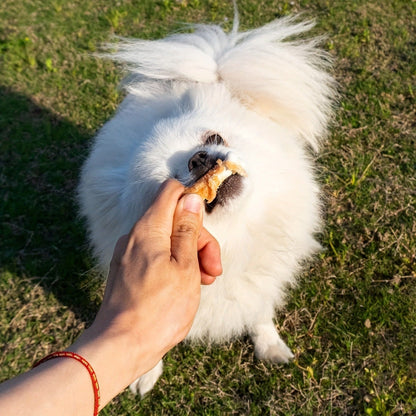 Dog Treats Duck-Wrapped Chew Pieces or Dried Chicken Breast in Two 203g Flavor Options for Dog Reward Use