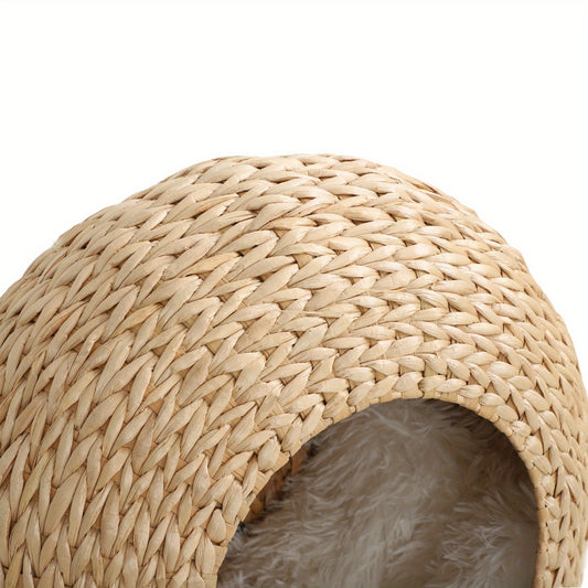 Cat Wall Furniture Wall Mounted Cat Condo – Natural Wood Cat Wall Shelf with Washable Cushion, Space-Saving Indoor Cat Perch for Cats & Kittens, Modern Home Decor Cat Climbing Shelf
