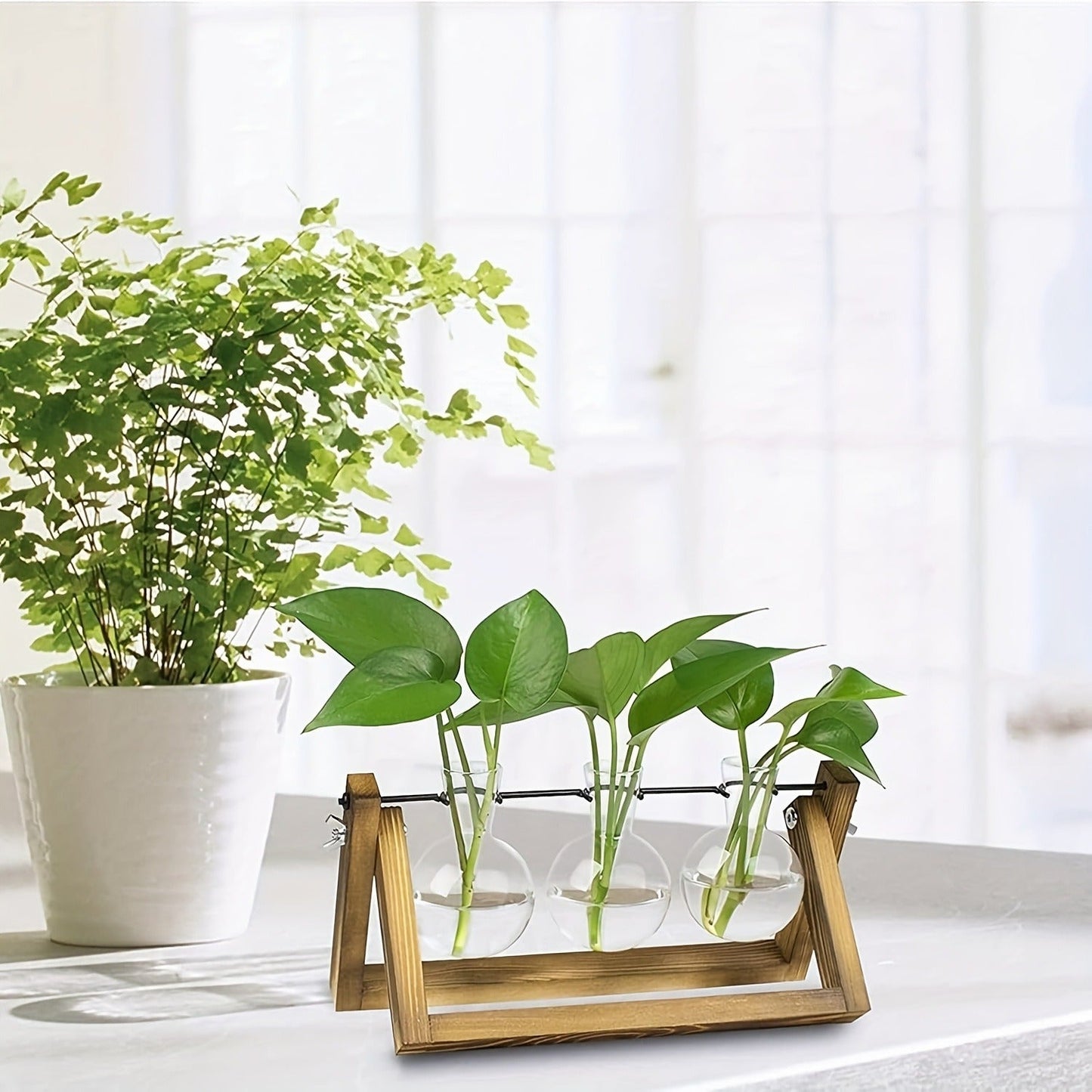 Three-Bulb Plant Propagation Station with Removable Glass Vases and 11-Inch Folding Wood Stand