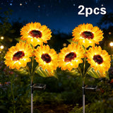 Two solar lights