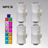 White-4P