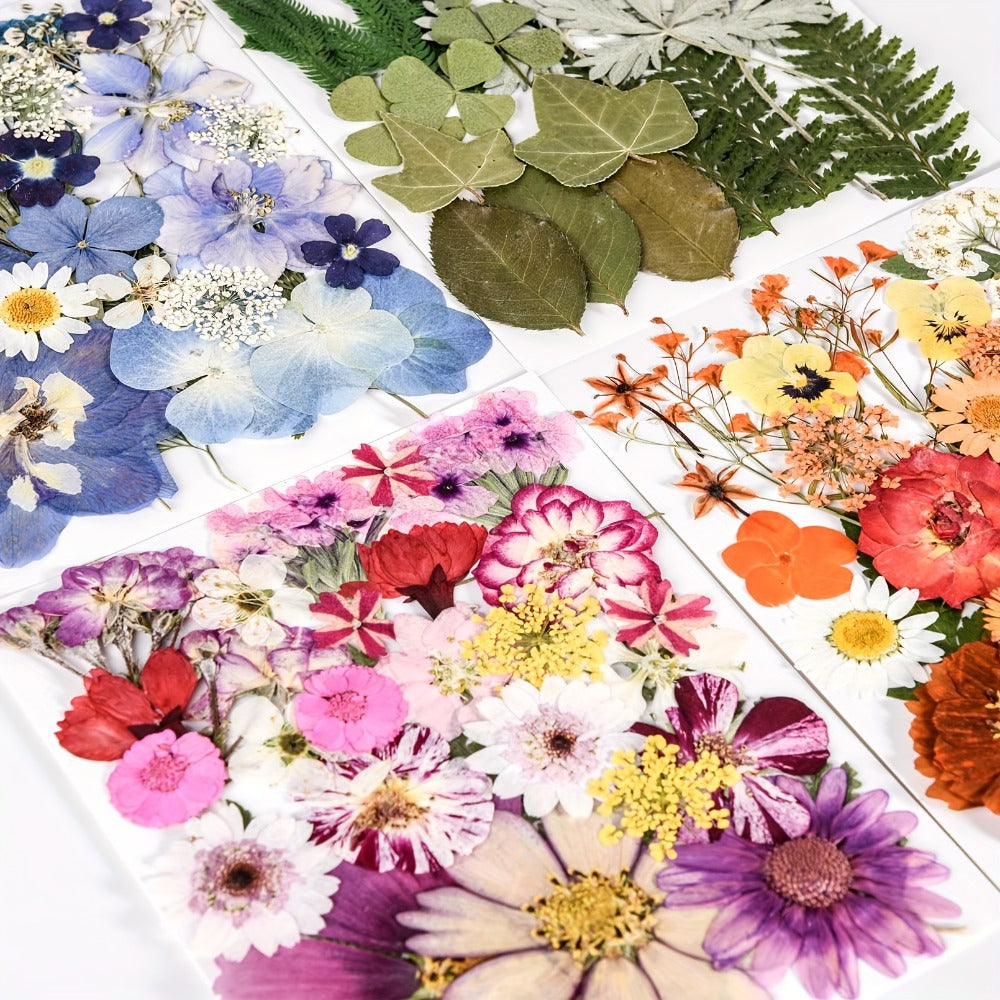 One Hundred Ten-Piece Pressed Flower and Leaf Assortment in Four Color-Themed Craft Packs Pictured