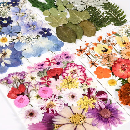 One Hundred Ten-Piece Pressed Flower and Leaf Assortment in Four Color-Themed Craft Packs Pictured