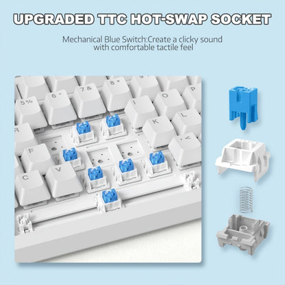 Hot Swap Gasket Mechanical Keyboard AJAZZ AK820 75% – Wireless 2.4GHz & Wired, Volume Knob, South-Facing RGB, Poron Foam, PBT Keycaps, Programmable, 11 Switch & Color Options for PC & Mac