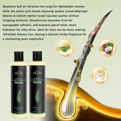 Rosemary Shampoo for hair care & Volume — Enriched with Rosemary Extract, Amino Acids & Plant Squalane | Strengthening, Moisturizing &