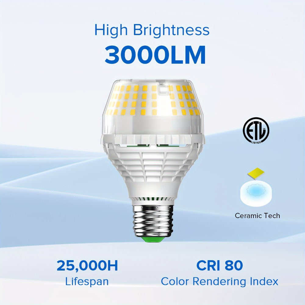 SANSI A19 LED Light Bulb, 20W E26 with 3000-Lumen Marking in 3000K Warm or 5000K Daylight White
