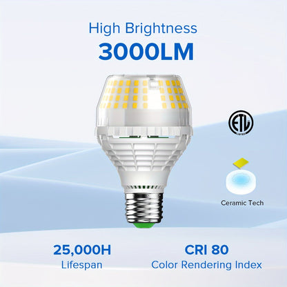SANSI A19 LED Light Bulb, 20W E26 with 3000-Lumen Marking in 3000K Warm or 5000K Daylight White