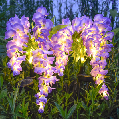 Solar Wisteria Flower Garden Light 52 LED, 2 Modes Waterproof