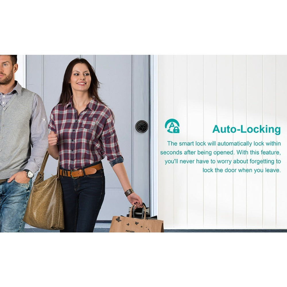 Smart Door Lock Tuya Five-Method Spherical Knob with Fingerprint App IC Card Password and Key