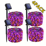 Purple Orange