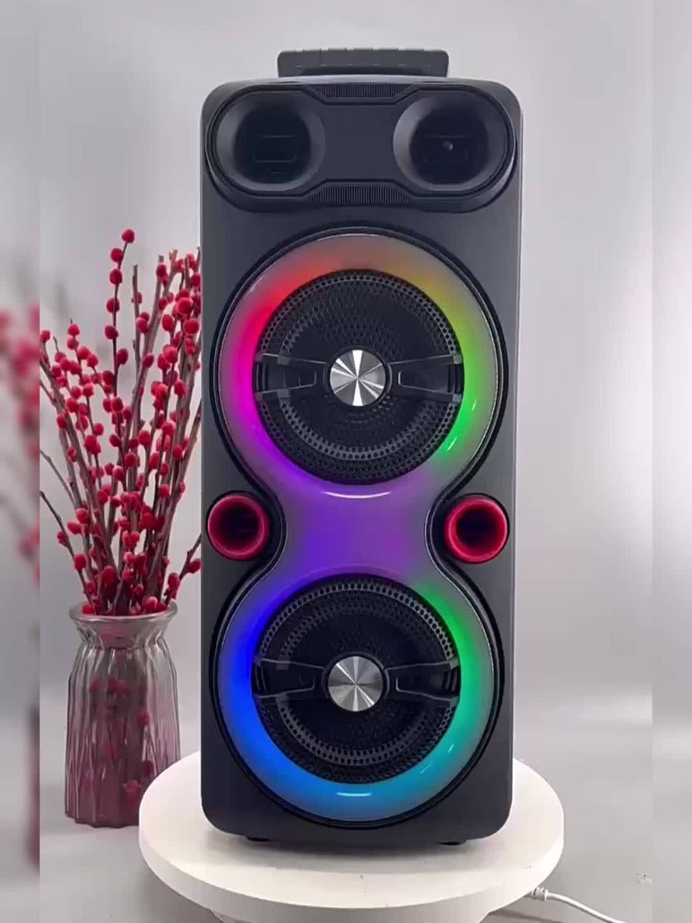 Dual 8.5-Inch Portable Party Speaker with RGB Lights, Bluetooth, TWS, FM, USB and Built-In Microphone