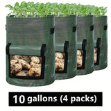10 gallons (4 packs)