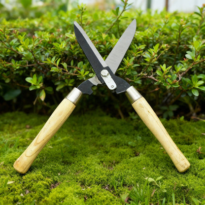 Carbon Steel Hedge Shears with 11-Inch Straight Blades and Paired Walnut Handles for Shrub Trimming
