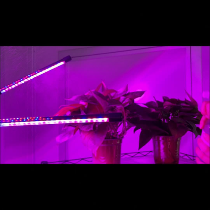 Remote Control Grow Light 4/5 Head Red Blue White Full Spectrum | 29-61'' Adjustable Tripod Stand Auto Timer | Indoor Plants Wireless Floor Lamp