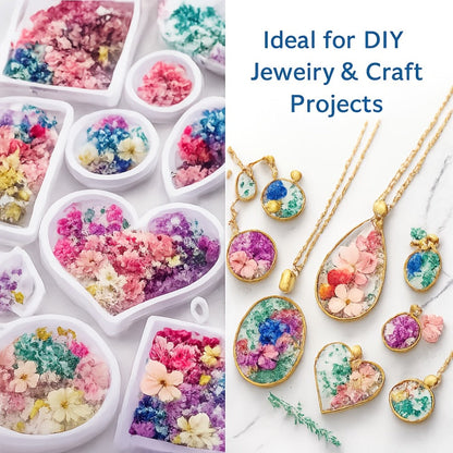Four-Box Random Dried Flower Craft Set for Resin Jewelry, Candles and Cards with Mixed Color Assortment