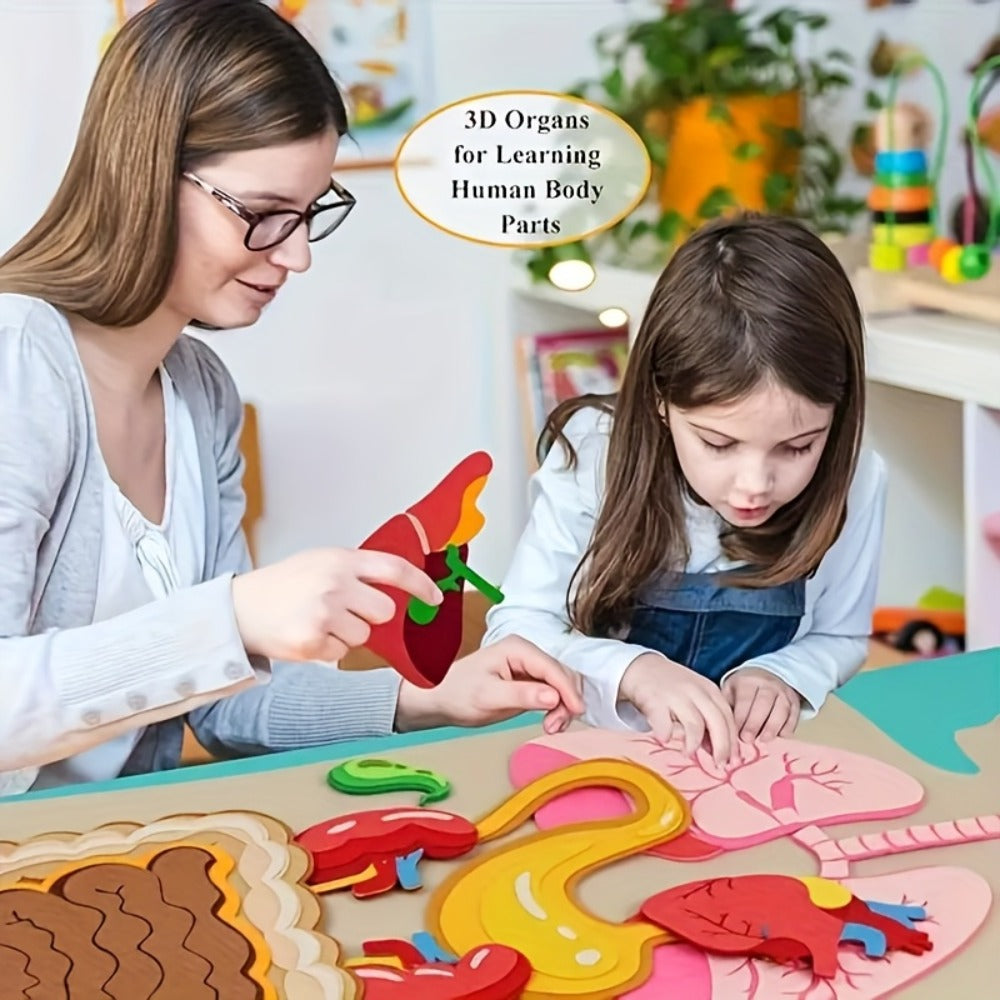 Human Body Felt Board Anatomy Model — 3D Felt Organ Science Educational Toy for Kids Ages 5+, Homeschool Biology Classroom Teaching Aid, STEM Learning Birthday Christmas Gift