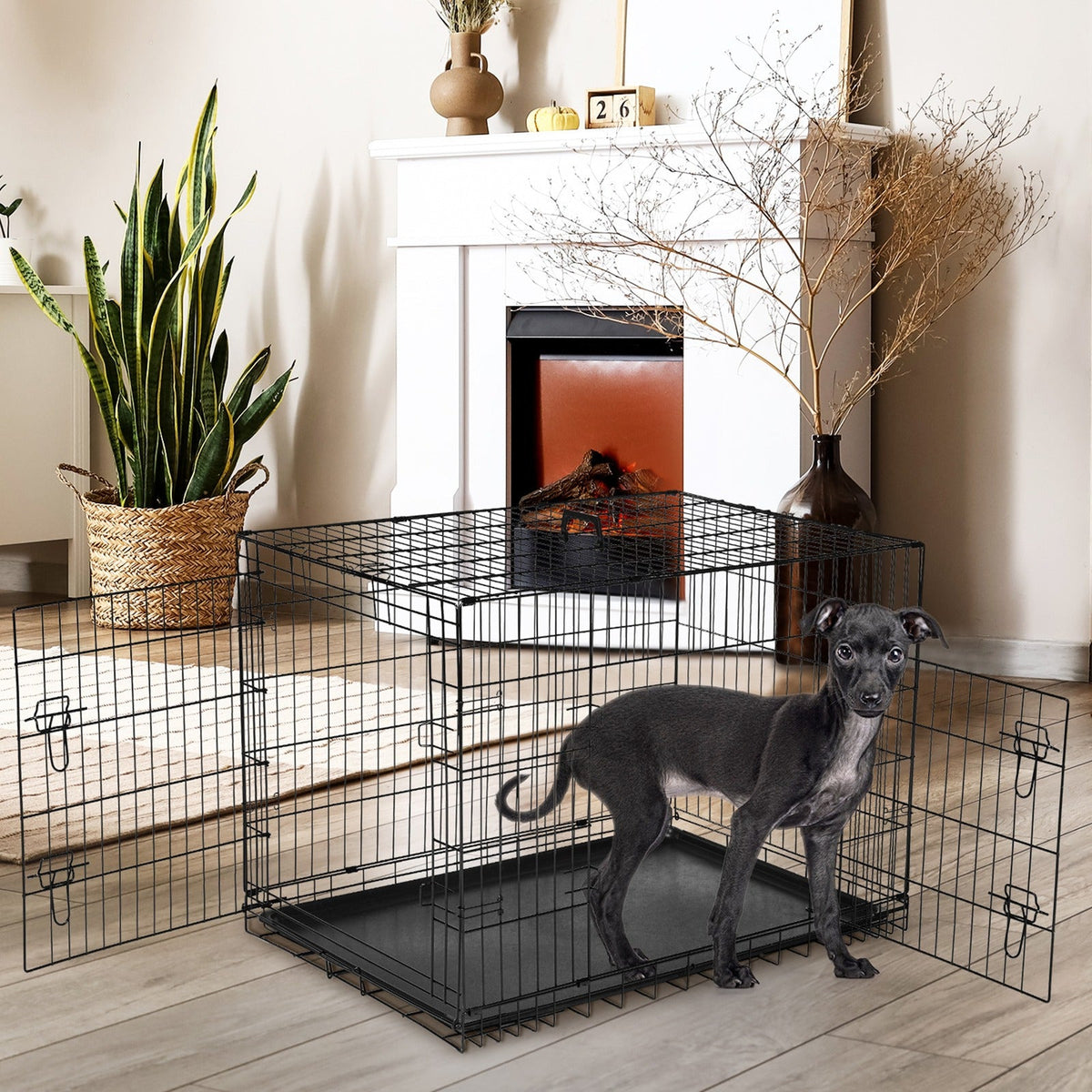 Folding Wire Dog Crate in 24, 30 or 36 Inches with Divider, Removable Tray and Door Options
