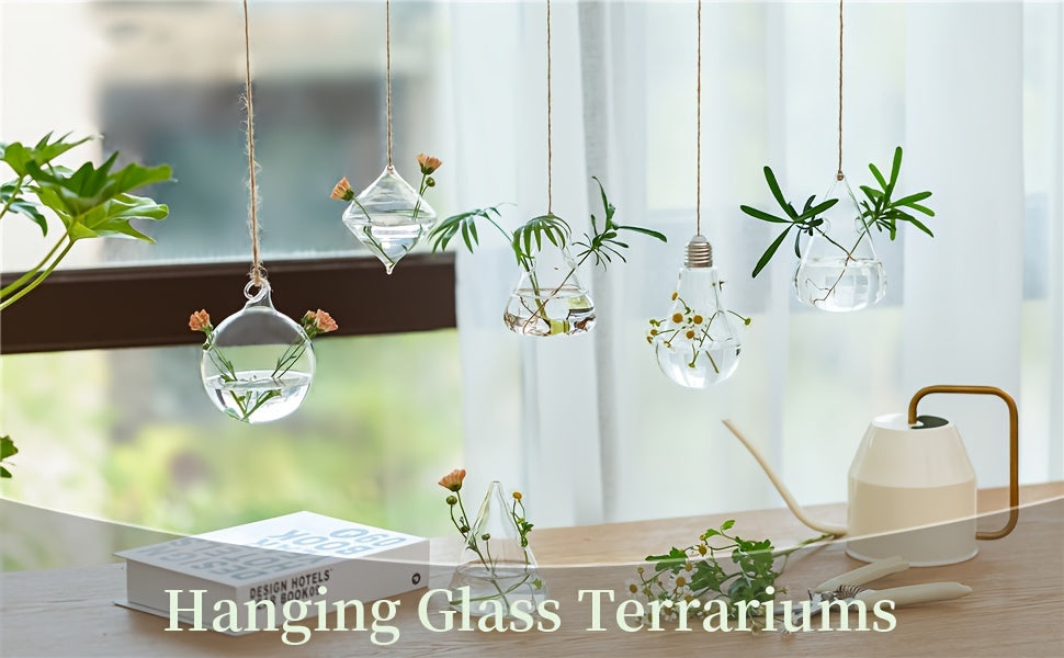 Five-Shape Clear Glass Hanging Terrarium Set with Rope Loops for Air Plants, Cuttings and Wall Display